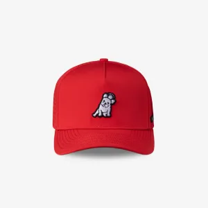 James Bark Red Recycled Cap