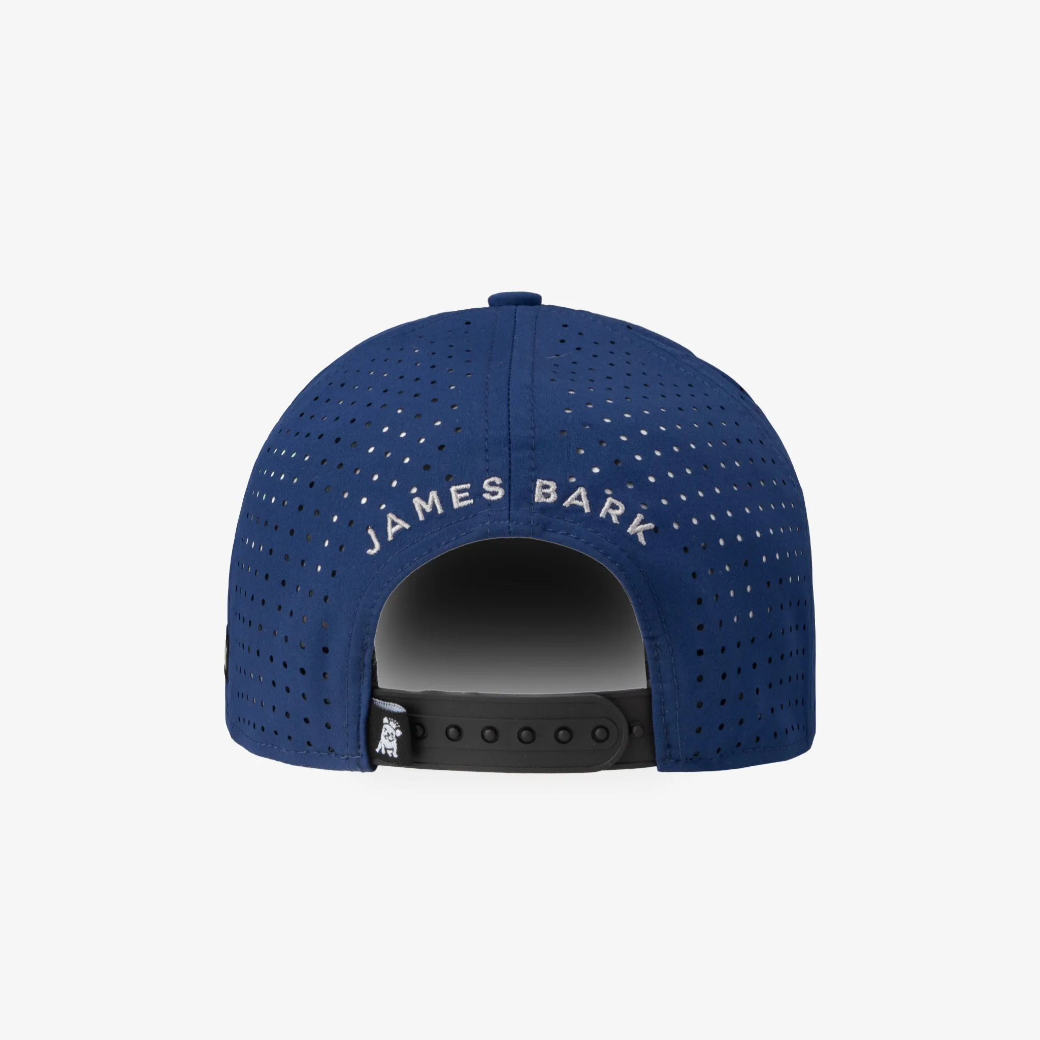 James Bark Royal Recycled Cap